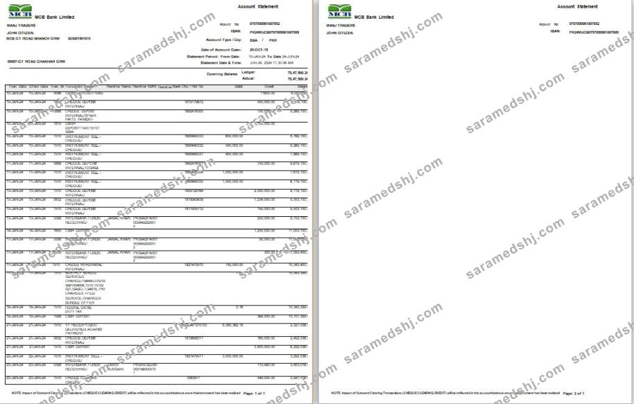 Pakistan MCB bank statement Word and PDF template